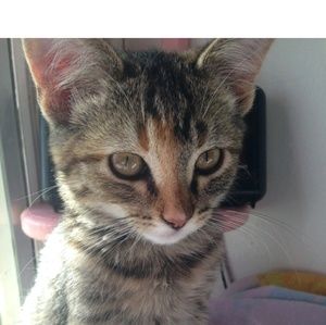 Meet your Posher, Tara